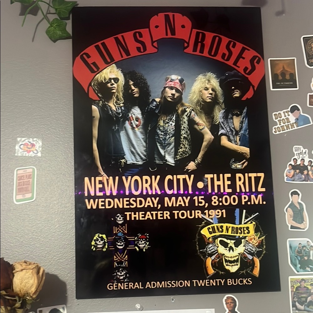 Guns N' Roses 1991 Concert Poster